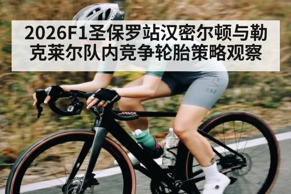2026F1圣保罗站汉密尔顿与勒克莱尔队内竞争轮胎策略观察
